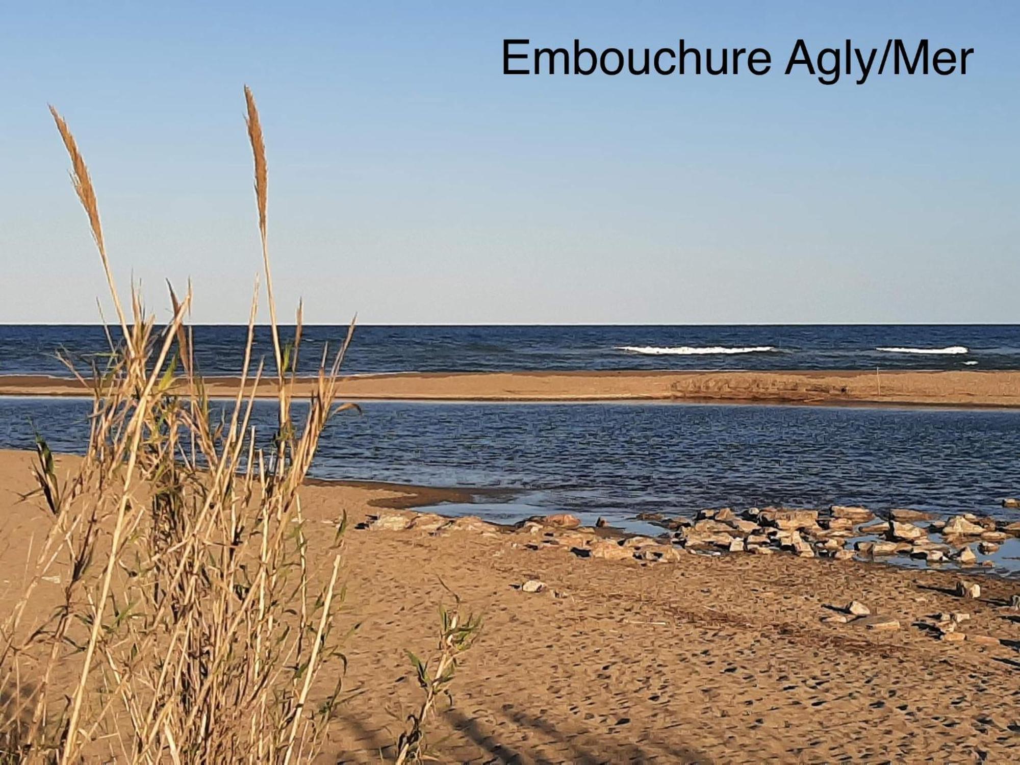 Logement Entier, Calme, Hyper Equipe Saint-Laurent-de-la-Salanque Exteriör bild